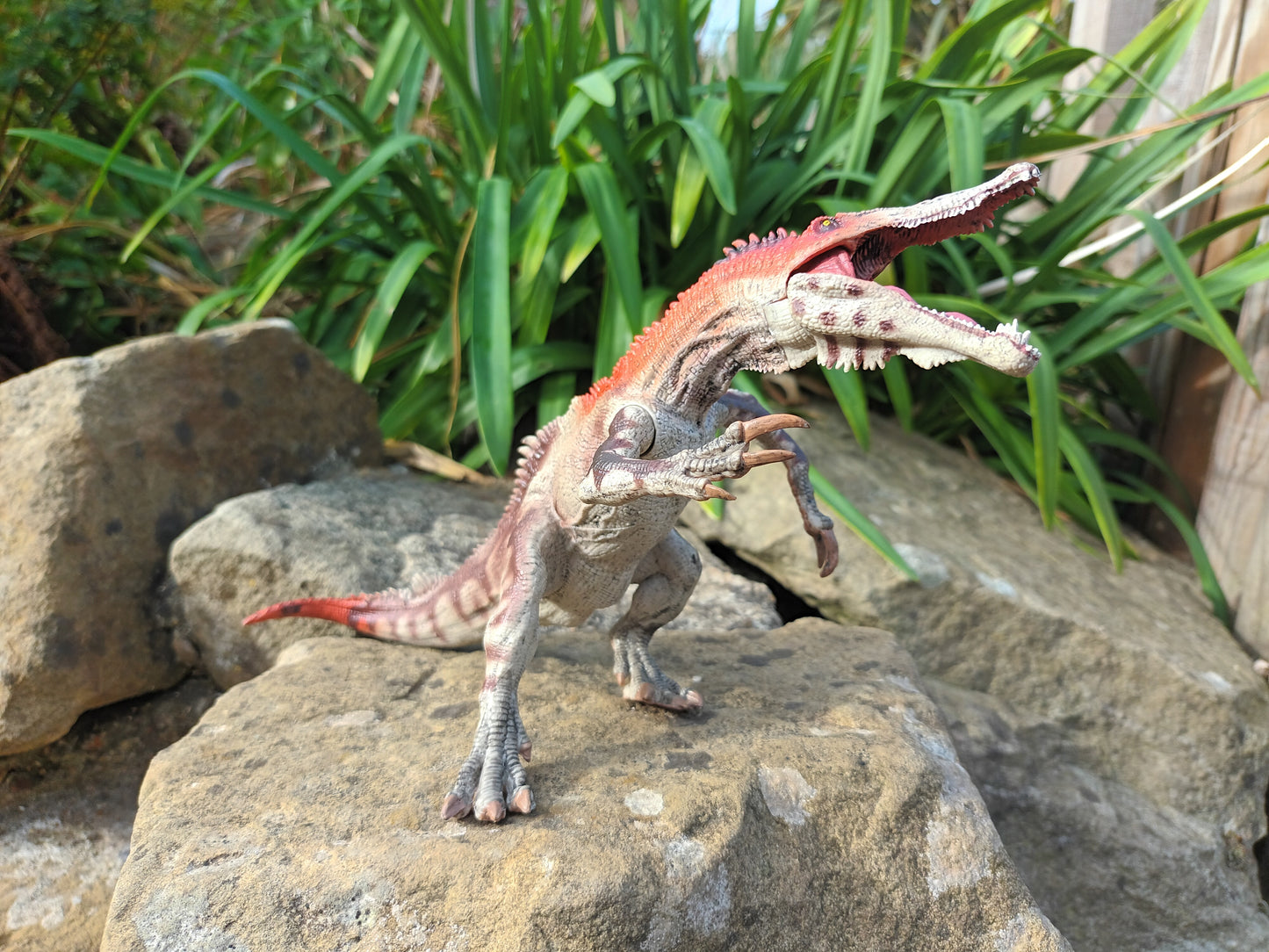 Baryonyx Model