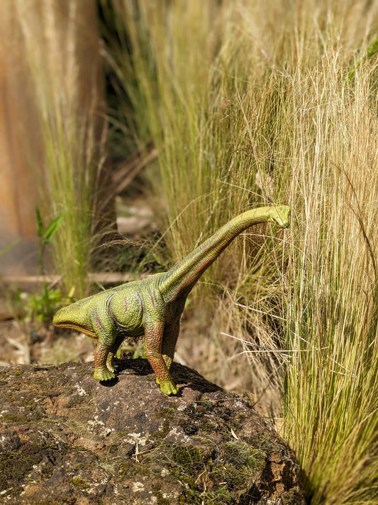 Brachiosaurus Model