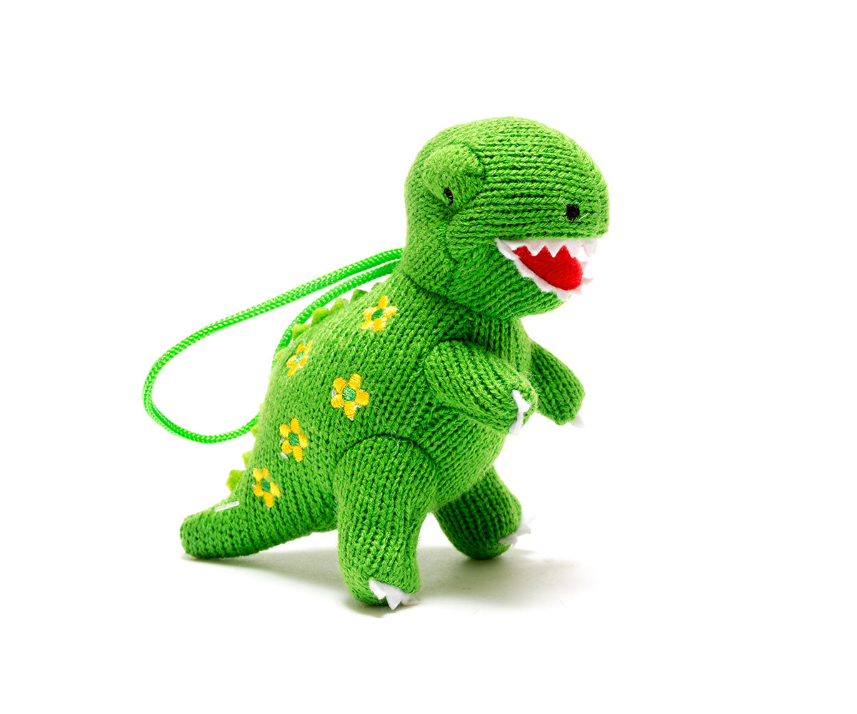 T-Rex Knitted With Flowers