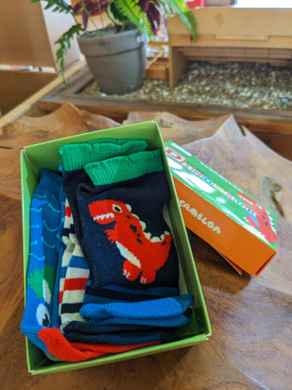D is for Dinosaur Socks