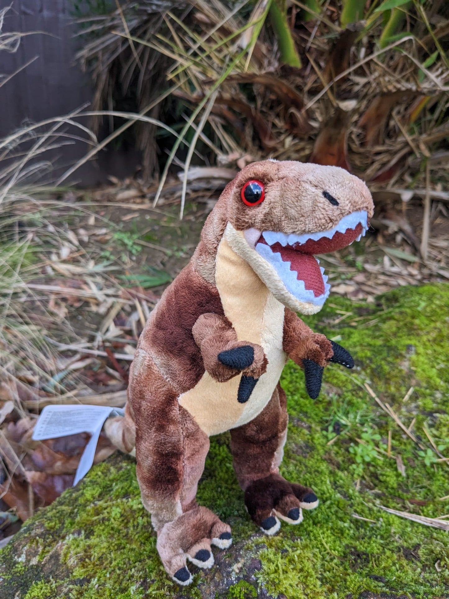 Dinosauria T-Rex