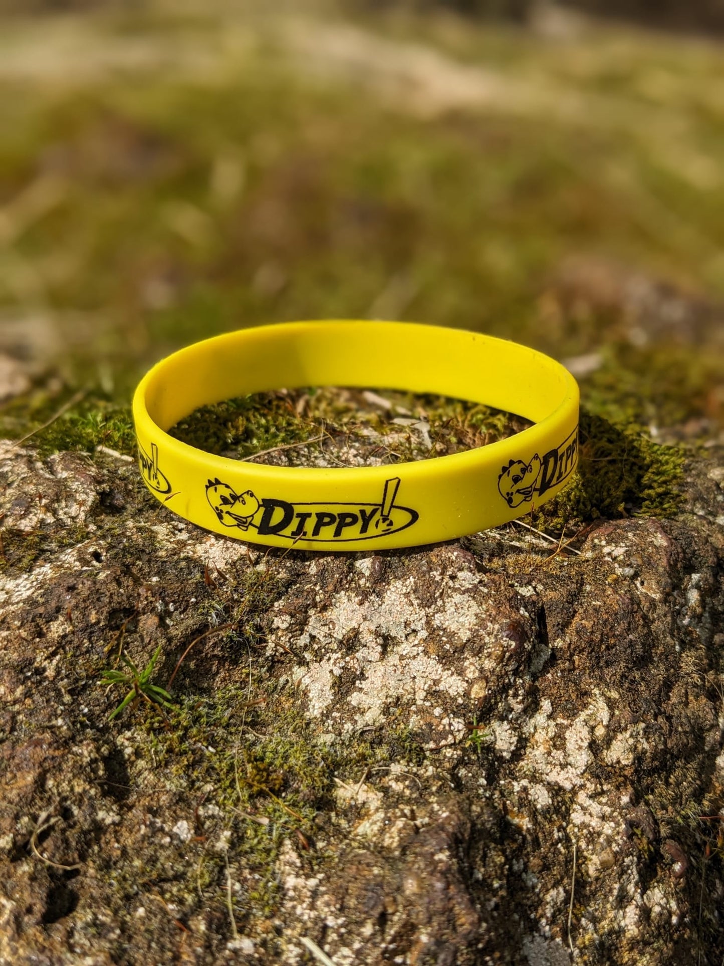 Dippy & Friends Wristbands