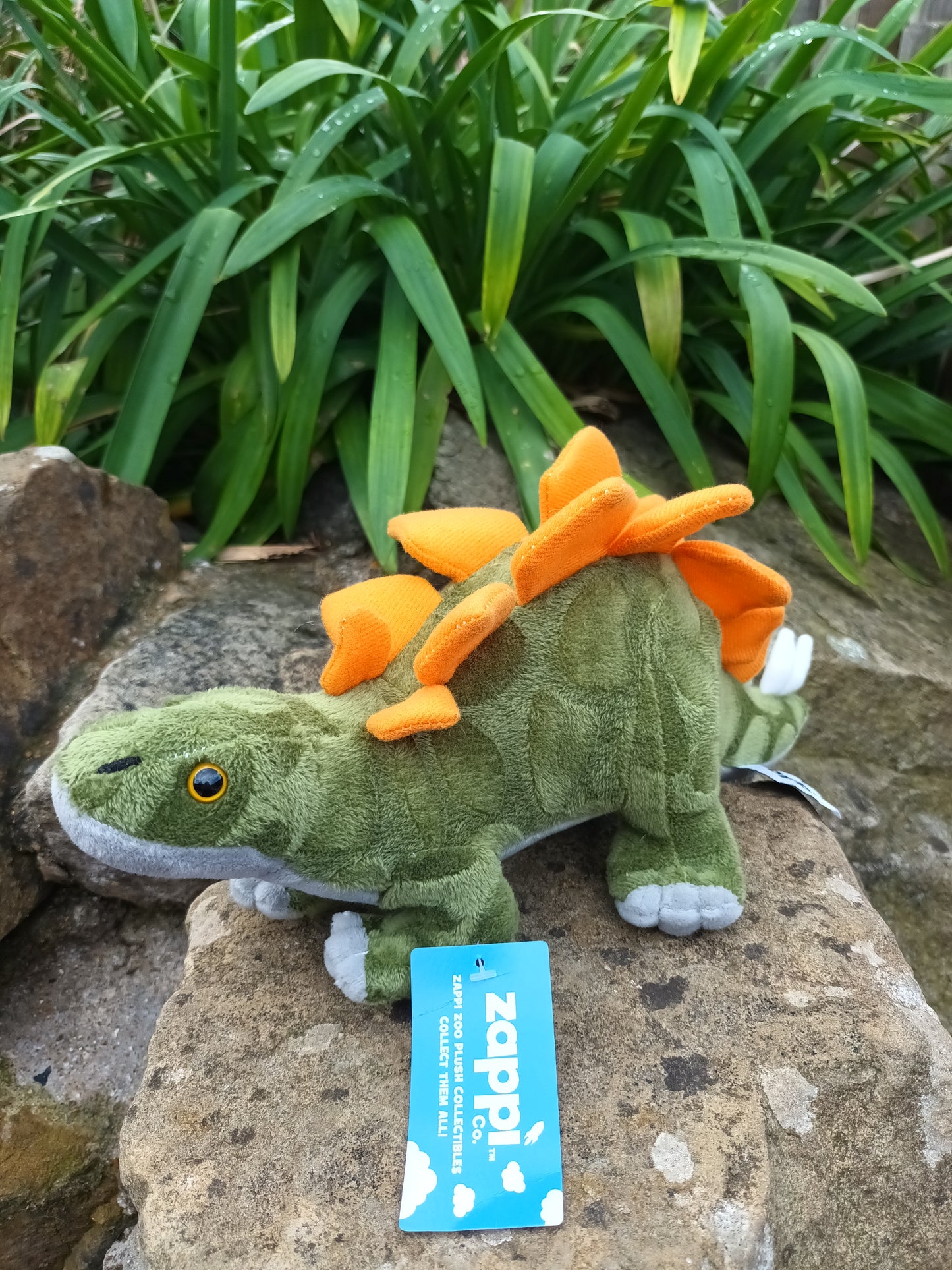 Zappi Stegosaurus Soft Toy
