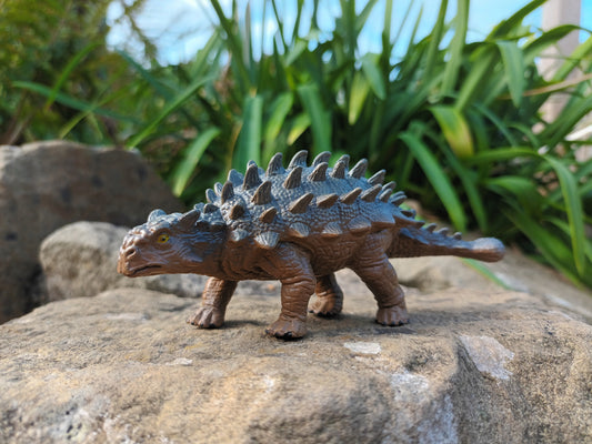 Ankylosaurus Model