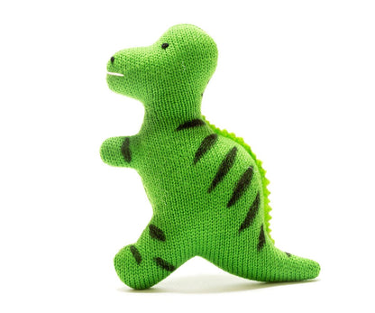 Baby Dinosaur Sensory Toys