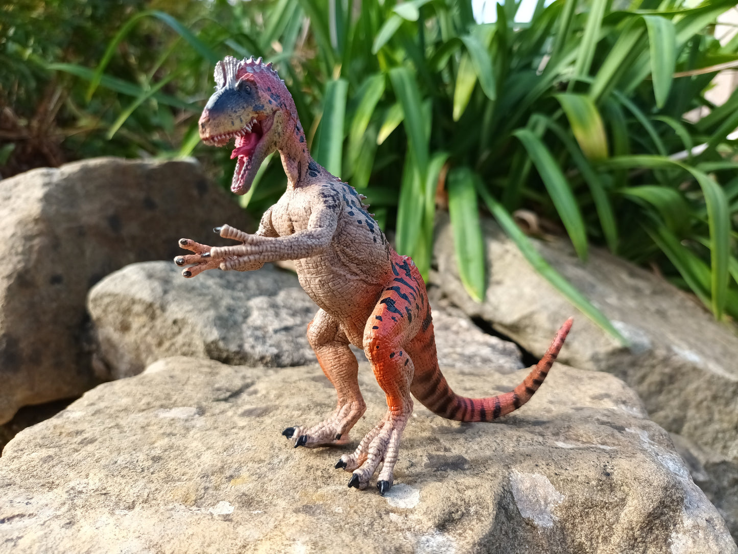 Cryolophosaurus Model