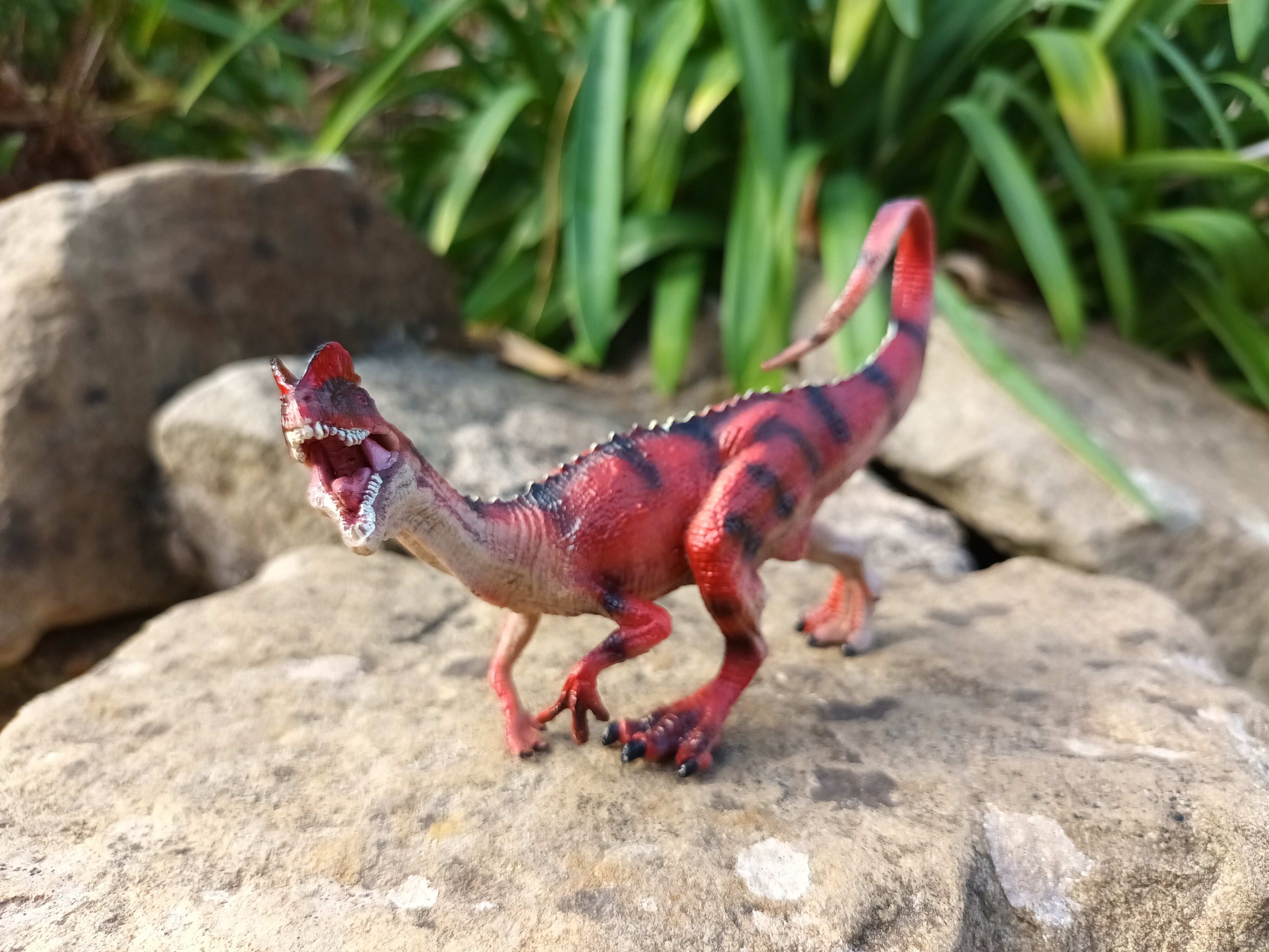 Dilophosaurus Model – ROARR! STORE