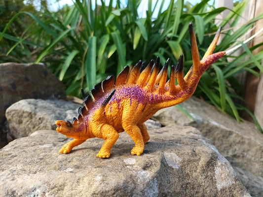 Kentrosaurus Model