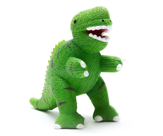 T-Rex Bath Toy & Teether