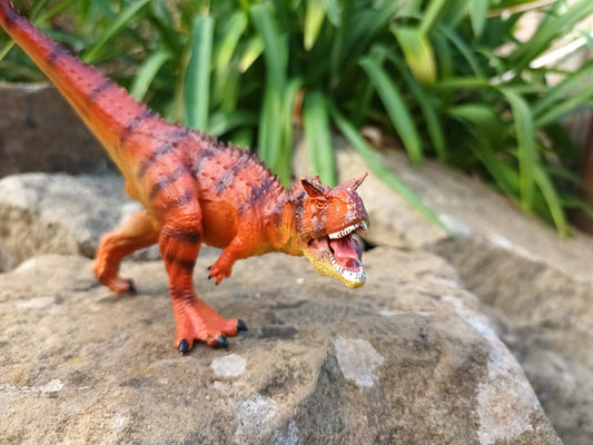 Carnotaurus Model - Orange