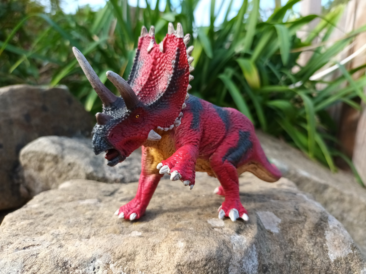 Pentaceratops Model