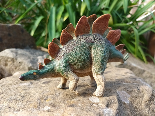 Stegosaurus Model