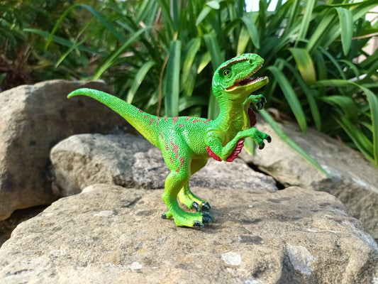 Velociraptor Model